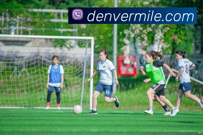 多媒体互动体验